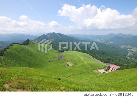 索根高原的夏天 索根高原的夏天 68918345