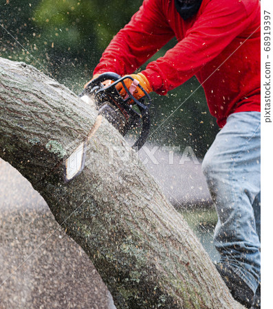 Man cutting tree with chainsaw close up. 68919397