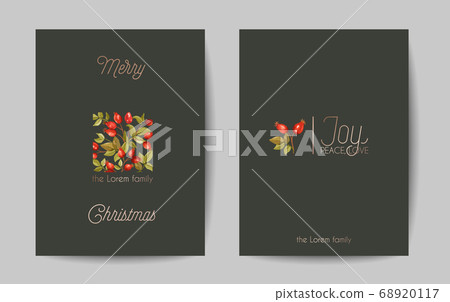Elegant Merry Christmas and New Year 2021 Cards with Pine Branches, Holy Berry, Mistletoe, Winter floral plants design 68920117