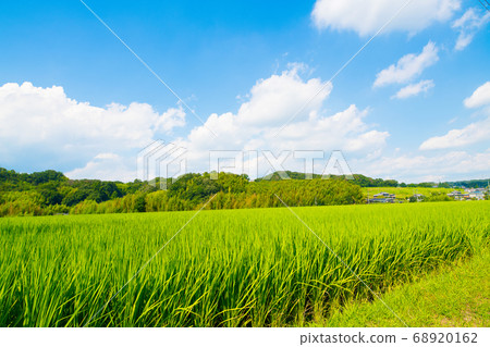 Rural scenery in Hakuba Village, Nagano Prefecture Rural scenery in Hakuba Village, Nagano Prefecture 68920162
