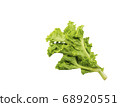 Lettuce isolated on white background. 68920551