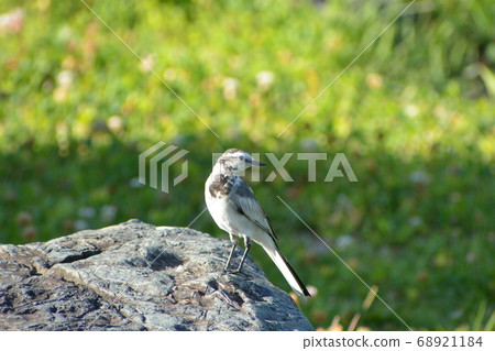 Bakkery Bakkery 68921184