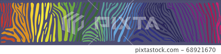 Background with multicolored Zebra skin Background with multicolored Zebra skin 68921670