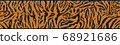 Background with Tiger skin 68921686