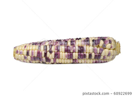 Raw Waxy corn isolated on white background. Raw Waxy corn isolated on white background. 68922699