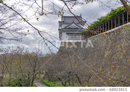 Okayama Tsuyama Castle Bitchu Tower Okayama Tsuyama Castle Bitchu Tower 68923913