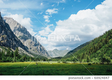 Beautiful mountain landscape in Val Ferret, Italy. 68924847