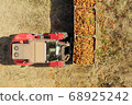Forklift loading pallets of fresh picked Carrots onto a trailer 68925242
