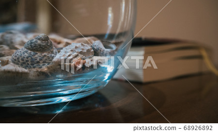terrarium with sea shells. Includes a background book terrarium with sea shells. Includes a background book 68926892