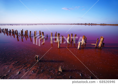 pink salt lake 68926946