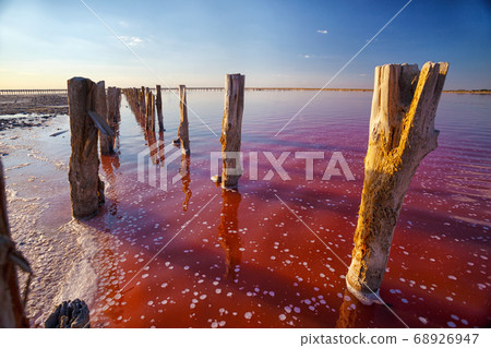 pink salt lake 68926947