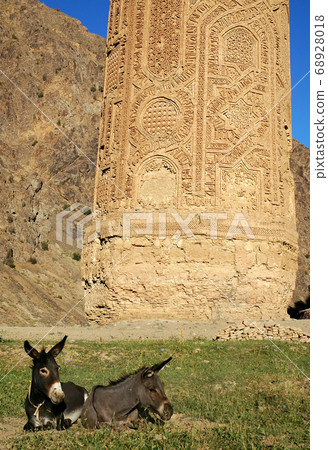 Minaret of Jam, Ghor Province in Afghanistan. The Jam minaret is a UNESCO site in a remote part of Central Afghanistan. Two donkeys at the base of the Minaret of Jam relax in the sunshine. Minaret of Jam, Ghor Province in Afghanistan. The Jam minaret is a UNESCO site in a remote part of Central Afghanistan. Two donkeys at the base of the Minaret of Jam relax in the sunshine. 68928018