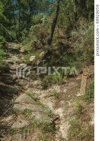 Small pole next to trail on rocky terrain covered by trees Small pole next to trail on rocky terrain covered by trees 68928059