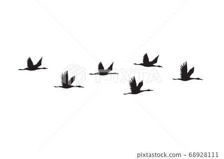 Vector black flying cranes birds silhouette flock 68928111