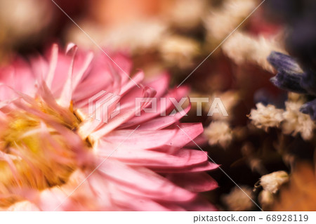 Floral abstract pastel colors. Floral abstract pastel colors. 68928119