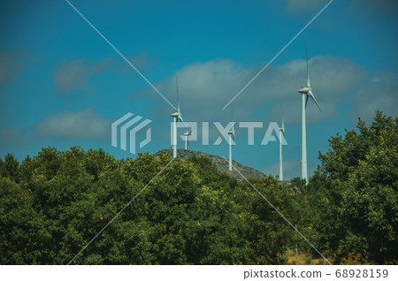 Wind turbines for electric power generation and trees 68928159