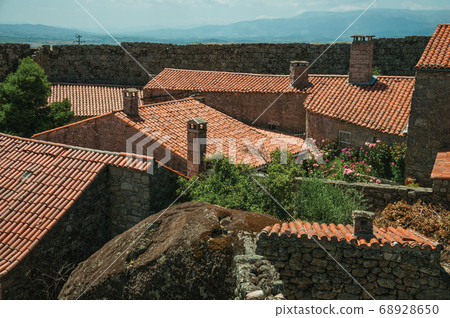 Chimneys on roofs of old houses with flowered 68928650
