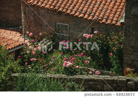 Roofs on old houses with flowered bushes Roofs on old houses with flowered bushes 68928653