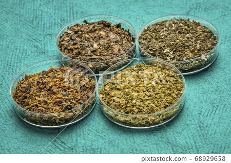 seaweeds - diet supplement set 68929658