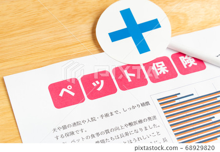 寵物保險圖片寵物保險比較,聲譽× 寵物保險圖片寵物保險比較,聲譽× 68929820