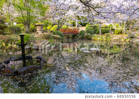 Uchibuki Park Sakura (Hagoromoike) 68930356