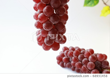 葡萄（特拉華州） 68931458