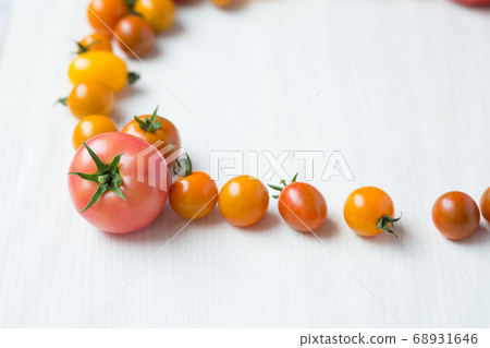 Various tomato frames Various tomato frames 68931646