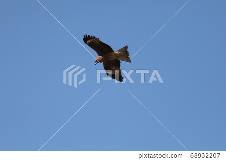 Flying in the sky 68932207