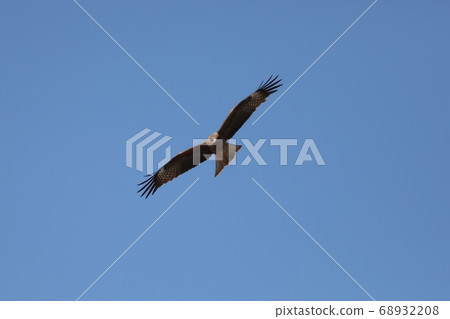 Flying in the sky Flying in the sky 68932208