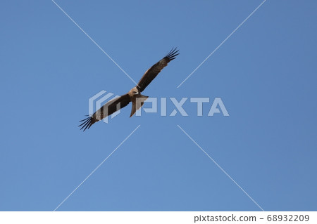 Flying in the sky Flying in the sky 68932209