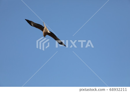 Flying in the sky 68932211