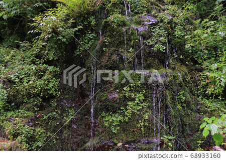 Enmeisui Karasugawa山谷安zu野市 Enmeisui Karasugawa山谷安zu野市 68933160