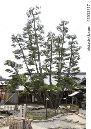 Miyajima Itsukushima Shrine Aki Hiroshima Miyajima Itsukushima Shrine Aki Hiroshima 68933817