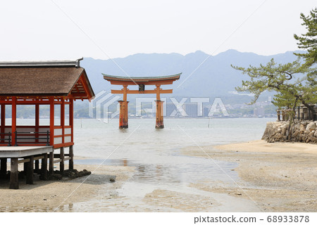 Miyajima Itsukushima Shrine Aki Hiroshima Miyajima Itsukushima Shrine Aki Hiroshima 68933878