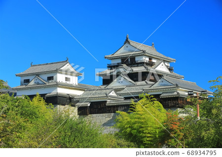 [Ehime Prefecture] Matsuyama Castle under the clear sky (large castle tower and small castle tower) 68934795