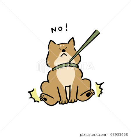 Shiba Inu refuses to walk 68935468