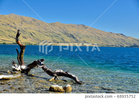 Driftwood and Lake New Zealand Queenstown 68935752