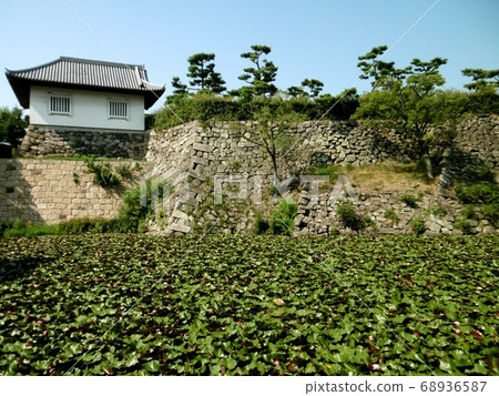 岸和田城堡 68936587