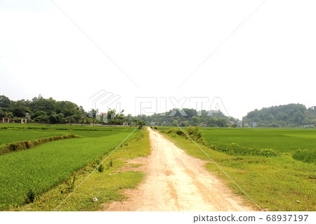 rural road rural road 68937197