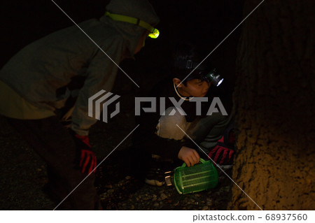 孩子們在晚上收集昆蟲 孩子們在晚上收集昆蟲 68937560