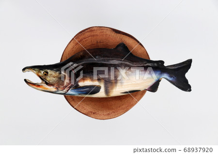 Colorful masses 68937920