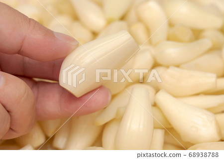 Rakkyo Rakuda（6月）Rakkyo泡菜的製備 68938788