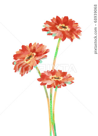 Illustration of a gentle touch gerbera 68939068