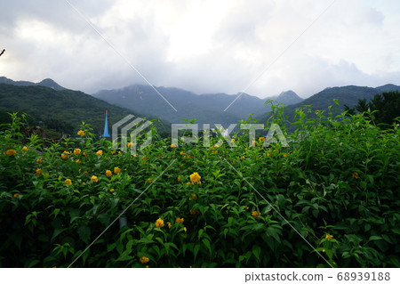 Seongbuk-gu. Jeongneung-gol. Alley 68939188