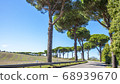 Beautiful avenue on a country road near Orvieto 68939670
