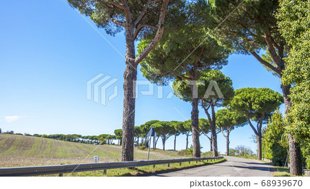 Beautiful avenue on a country road near Orvieto Beautiful avenue on a country road near Orvieto 68939670