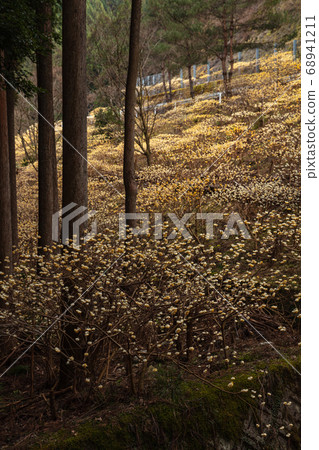 Shinshiro City, Aichi Prefecture Shinshiro City, Aichi Prefecture 68941211
