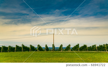 Vineyard landscape at South Styrian Wine Road in Vineyard landscape at South Styrian Wine Road in 68941722