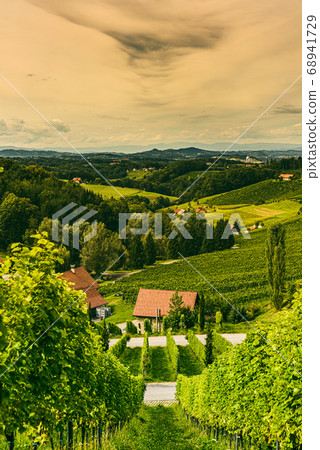 Vineyard landscape at South Styrian Wine Road in Vineyard landscape at South Styrian Wine Road in 68941729