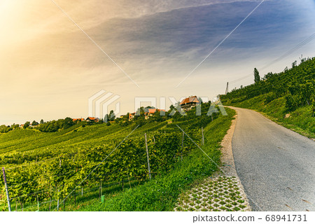 Vineyard landscape at South Styrian Wine Road in Vineyard landscape at South Styrian Wine Road in 68941731